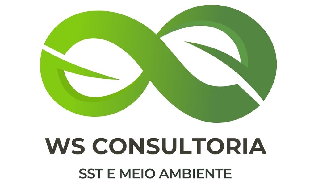 WS CONSULTORIA